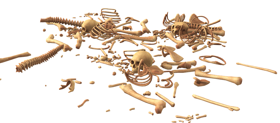 bones
