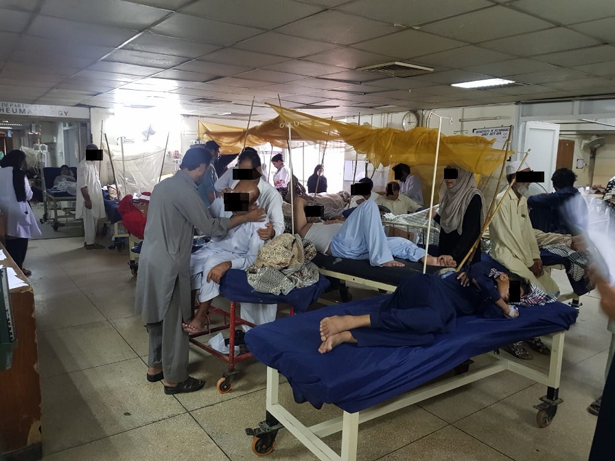 dengue fever symptoms