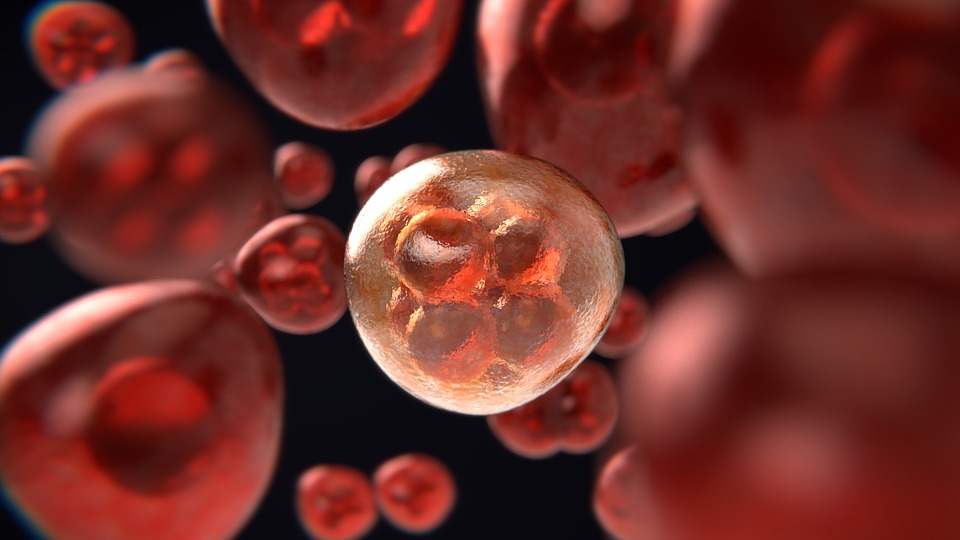 blood cancer symptoms